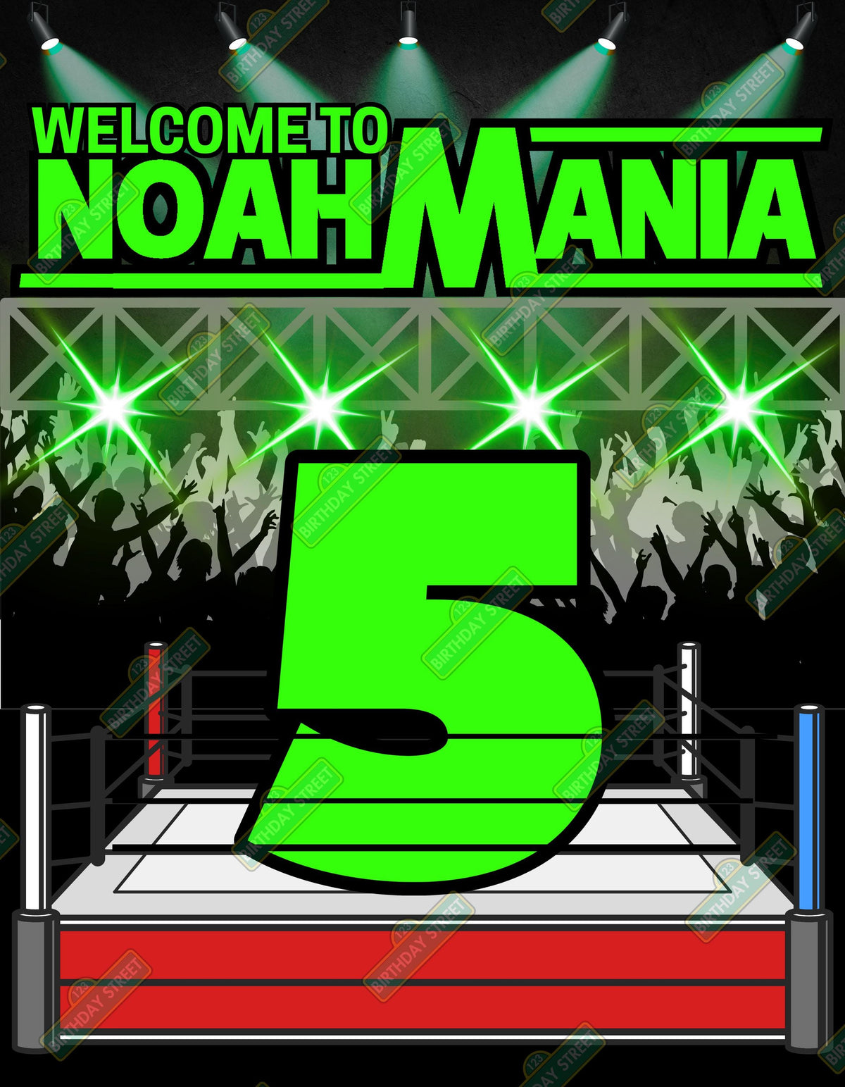 Wrestling Birthday Poster 30x40 – Custom Name Age Wrestling Party Poster – Kids Wrestling Birthday Party Sign – Physical or Digital