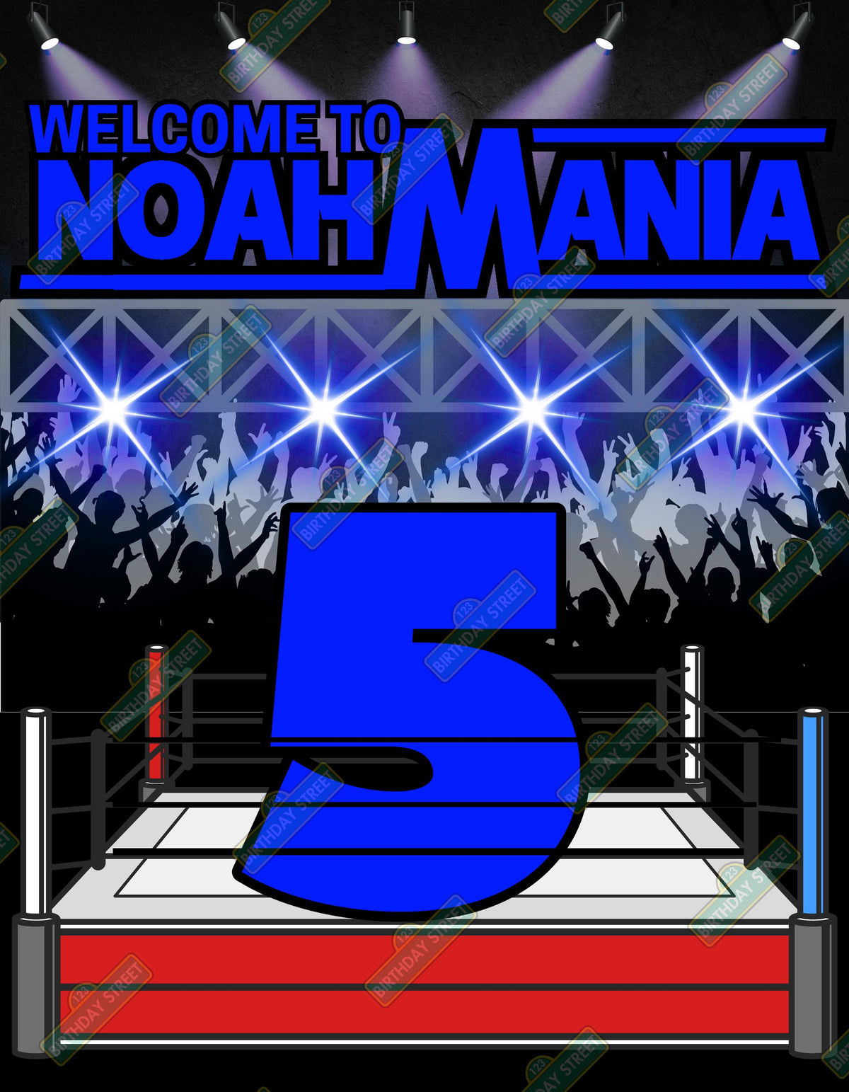 Wrestling Birthday Poster 30x40 – Custom Name Age Wrestling Party Poster – Kids Wrestling Birthday Party Sign – Physical or Digital