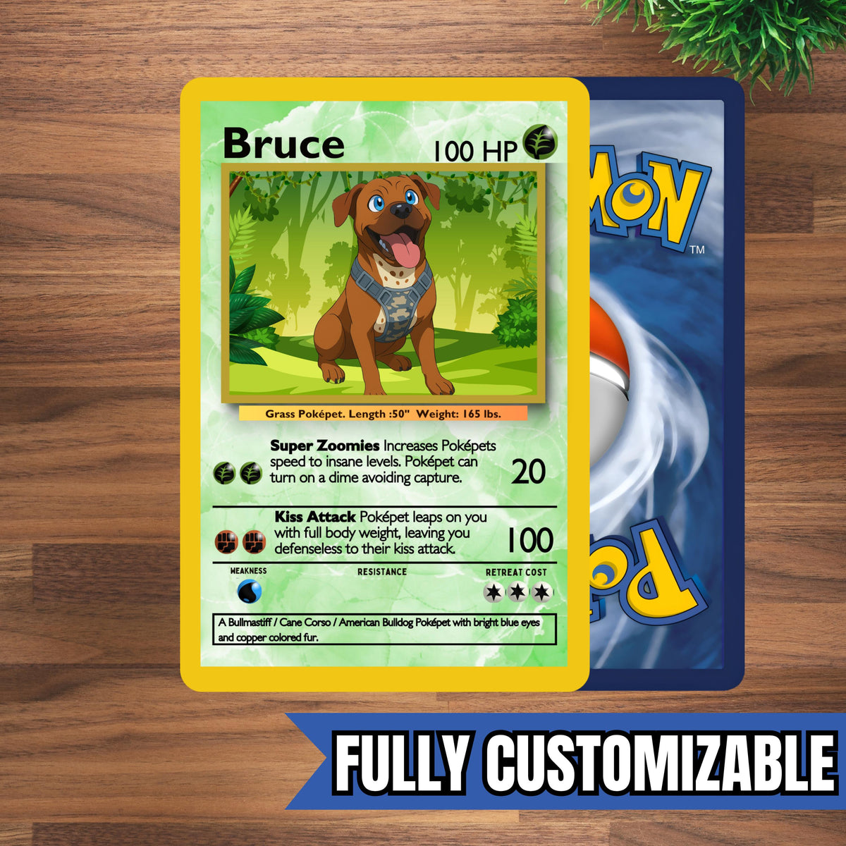 Custom Pokepet Card - PNG - Pet Card - Unique Pet Gift - Birthday Gift - Christmas Gift - Pet Memorial Gift - Digital - Printable